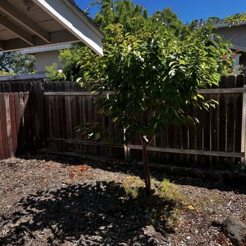 All Seasons Tree Service - Tree Services Near Me All Seasons Tree Service - Tree Services Near Me