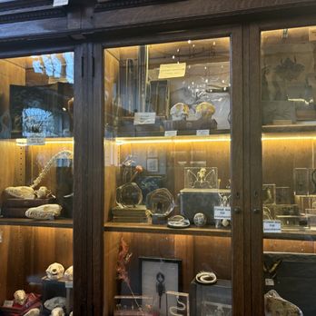 Paxton Gate - Jewelry Near Me - Portland, Oregon