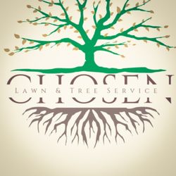 Chosen Lawn & Tree Service - Logo