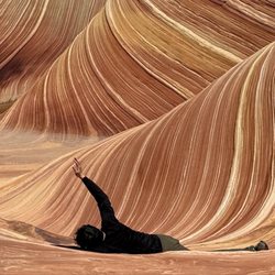 The Wave