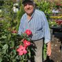 Photo of Priority Landscaping & Nursery