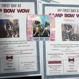 First day at Camp Bow Wow Mid-City First day at Camp Bow Wow Mid-City