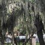 Rossetter Park