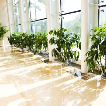 Denver Cleaning Service Company - Commercial Cleaning for offices, conference or board rooms, lobby areas and floor stations. Your building or business need the best, Call us - Carpet Cleaning Near Me - Denver, Colorado Denver Cleaning Service Company - Commercial Cleaning for offices, conference or board rooms, lobby areas and floor stations. Your building or business need the best, Call us - Carpet Cleaning Near Me - Denver, Colorado