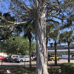 Rosemary Cemetery