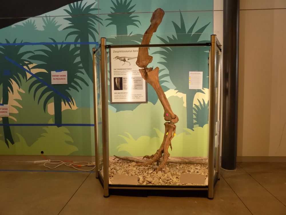 COLORADO NORTHWESTERN FIELD MUSEUM 2801 W 9th St, Craig, Colorado