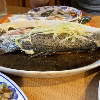East Ocean - Steamed sea bass - Chinese Near Me - Albuquerque, New Mexico