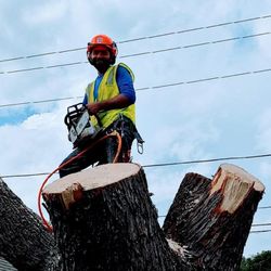 H&M Tree Service