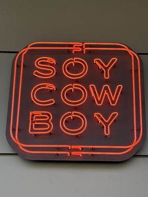 Soy Cowboy by null