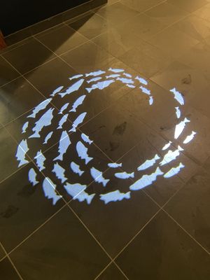 Tongass Historical Museum by null