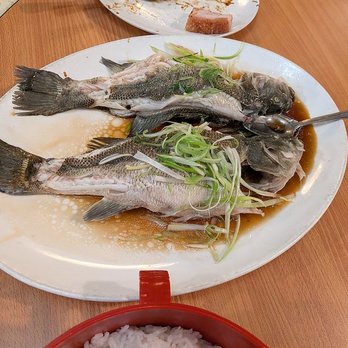Ming Dynasty - Steamed whole fish - Cantonese Near Me - Sacramento, California Ming Dynasty - Steamed whole fish - Cantonese Near Me - Sacramento, California
