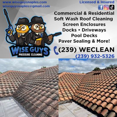 Wise Guys Pressure Cleaning