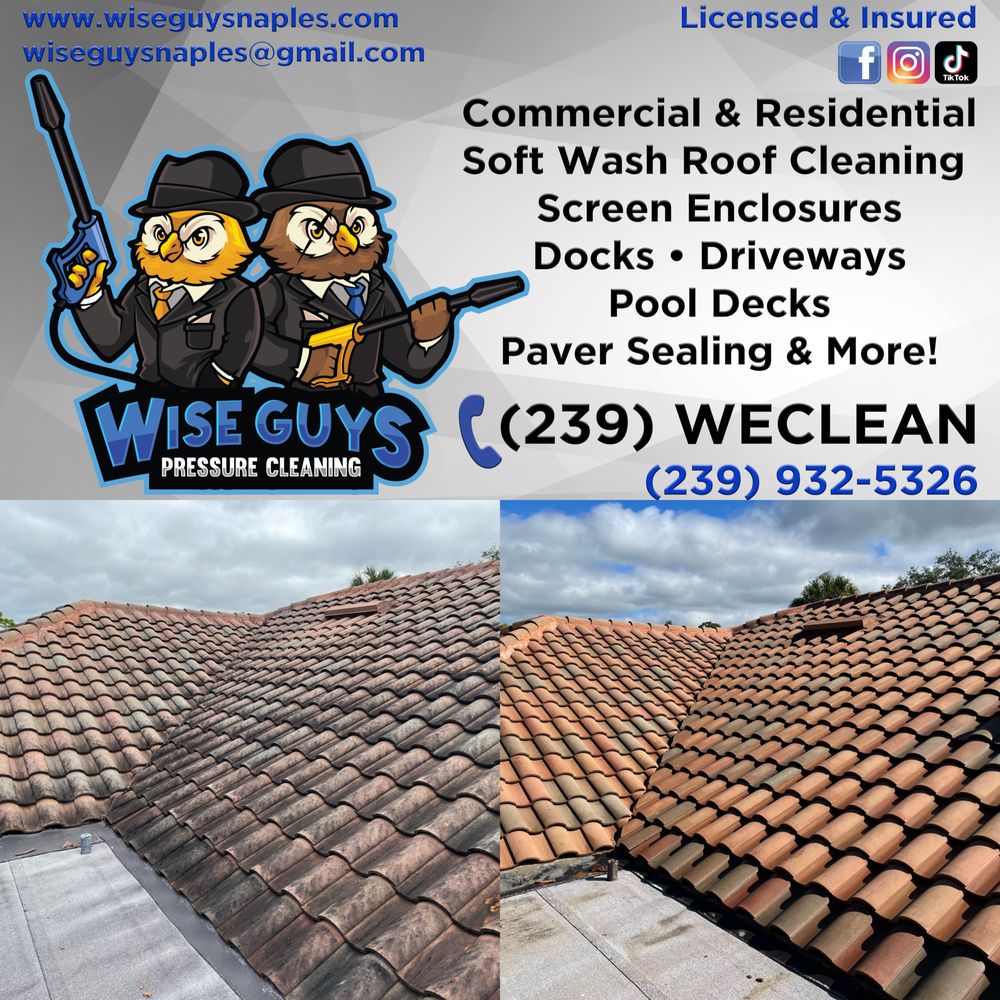Slide of Wise Guys Pressure Cleaning