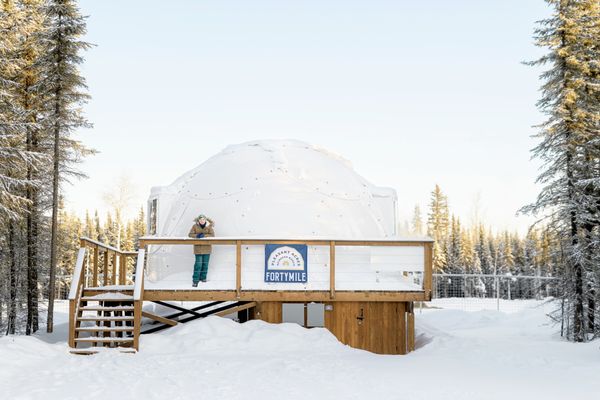 Pleasant Acres Reindeer Ranch by null