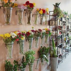 Bloom bar