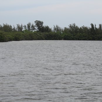 Wildcat Cove - Dog Parks Near Me - Fort Pierce, Florida Wildcat Cove - Dog Parks Near Me - Fort Pierce, Florida