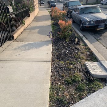Green Grass Landscaping - BEFORE - sidewalk filled with disheveled mulch mess after the rainy season. - Landscaping Near Me Green Grass Landscaping - BEFORE - sidewalk filled with disheveled mulch mess after the rainy season. - Landscaping Near Me