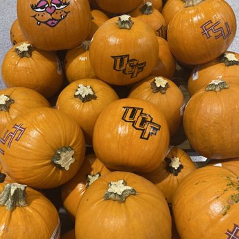 Publix Super Markets - Personalized pumpkins. - Bakeries Near Me - Tamarac, Florida Publix Super Markets - Personalized pumpkins. - Bakeries Near Me - Tamarac, Florida