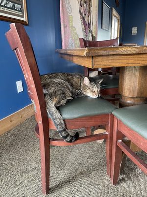 Owl Creek Vineyard by null