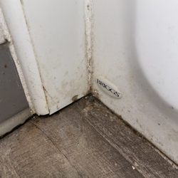 Days Inn by Wyndham Clinton-Presbyterian College - Filthy Bathroom floor next to bathtub.
