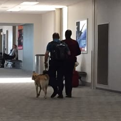 United Airlines - Friendly and accommodating United personnel