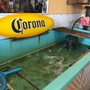 Old Florida Cigar & Bait Co