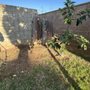 Photo of L&P Tree Service