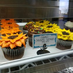 Elite Custom Cakes - Chocolate cupcakes
