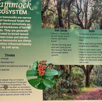 Mansfield Maritime Hammock - Parks Near Me - Cocoa Beach, Florida Mansfield Maritime Hammock - Parks Near Me - Cocoa Beach, Florida
