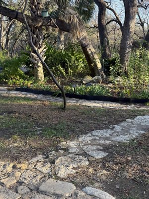 Mayfield Park and Nature Preserve by null