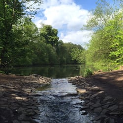 Himley Park