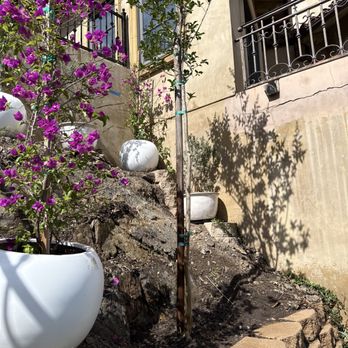 MP Landscaping services - Landscaping Near Me MP Landscaping services - Landscaping Near Me