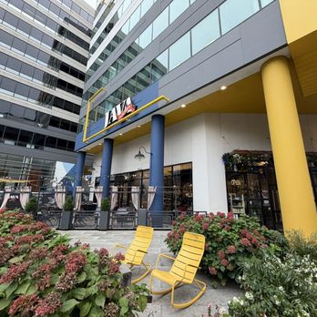 Java Nation - Coffee & Tea Near Me - Silver Spring, Maryland Java Nation - Coffee & Tea Near Me - Silver Spring, Maryland