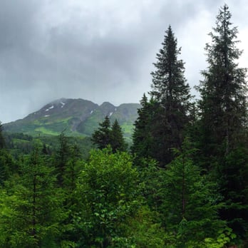 Winner Creek Trail - Hiking Near Me - Girdwood, Alaska Winner Creek Trail - Hiking Near Me - Girdwood, Alaska