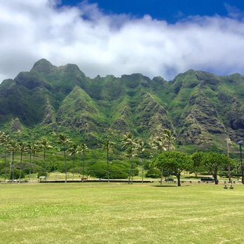 Halia Private Tours - Bus Tours Near Me - Honolulu, Hawaii Halia Private Tours - Bus Tours Near Me - Honolulu, Hawaii