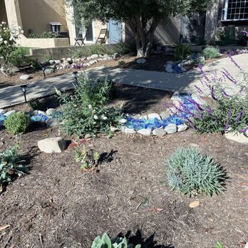 Growscapes - Native plants and dry creak with blue landscaping glass - Landscaping Near Me Growscapes - Native plants and dry creak with blue landscaping glass - Landscaping Near Me