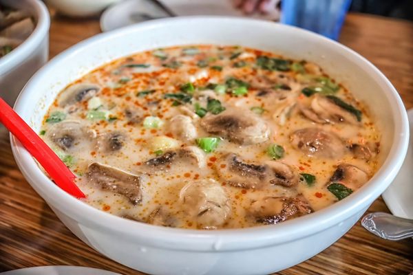 Noodle World by null