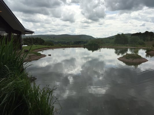 Tebay Services (Southbound) by null