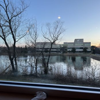 Mango Grove Indian Cuisine - View from booth - Indian Near Me - Columbia, Maryland