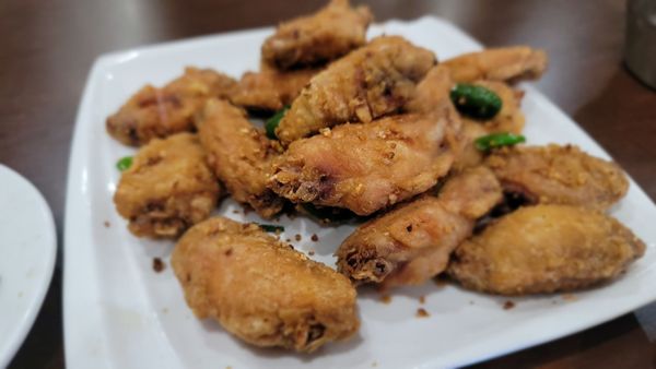 Golden Pheasant by null