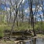 Photo of Chapman DeMary Trail