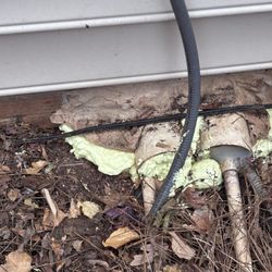 Pest Management Systems