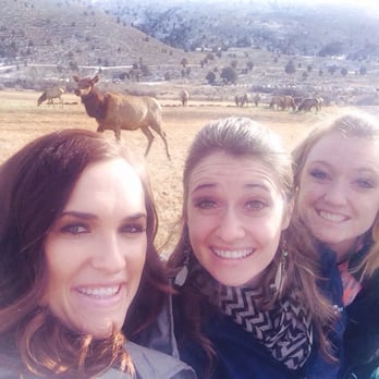 Hardware Ranch - Beauties! The elk were pretty too. - Wildlife Control Near Me Hardware Ranch - Beauties! The elk were pretty too. - Wildlife Control Near Me