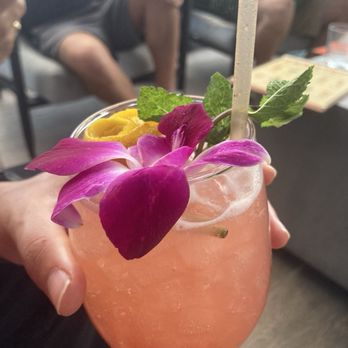 Zanzibar - Bird of Paradise - Tiki Bars Near Me - Austin, Texas Zanzibar - Bird of Paradise - Tiki Bars Near Me - Austin, Texas