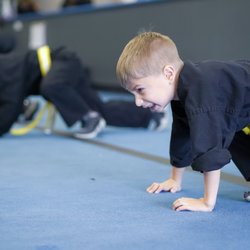 American Martial Arts Institute