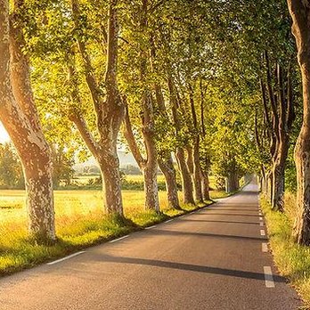 Vita Counseling - Counseling & Mental Health Near Me - Burnaby, British Columbia Vita Counseling - Counseling & Mental Health Near Me - Burnaby, British Columbia