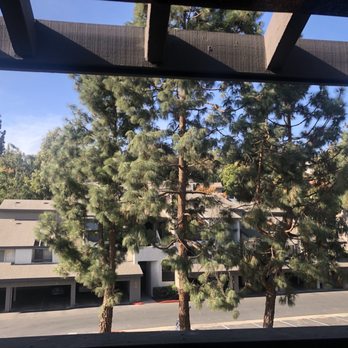 Hathaway Apartments - View from my balcony on this crisp fall day at Hathaway.  Absolutely love this place. - Apartments Near Me - Long Beach, California