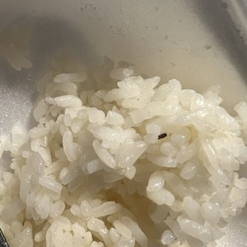 Kumo Sushi - Bug in steam rice - Japanese Near Me - Shreveport, Louisiana
