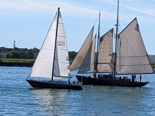 Casco Bay Lines by null