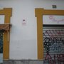Photo of Flor y pondio